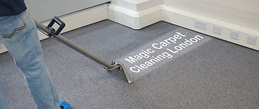 Portable Cleaning Machines or Professional Carpet Cleaners?
