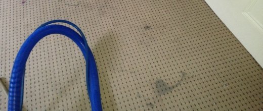 Tip of the day: How to remove stains from your carpets, all by yourself