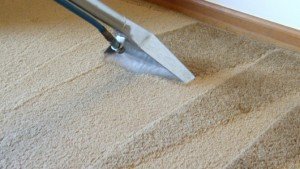 carpet cleaning hackney