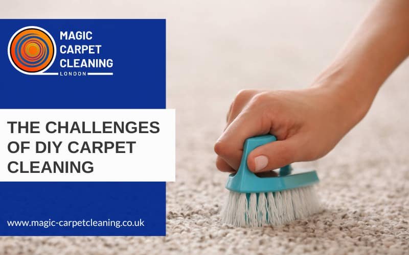 Challenges of DIY Carpet Cleaning