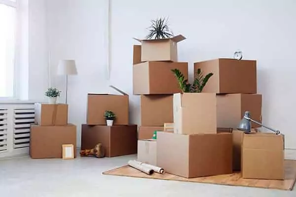 Cardboard boxes stacked in an empty white room with plants and personal belongings