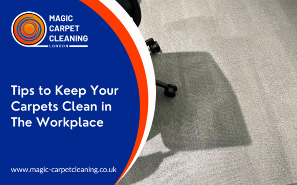 6 Tips To Keep Your Carpets Clean In The Workplace